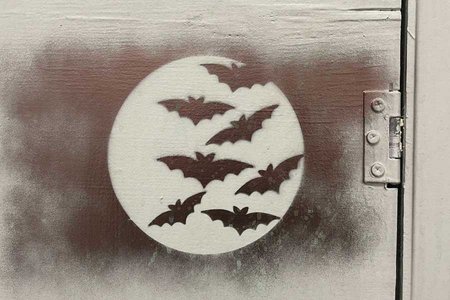 Moon with Bats Stencil